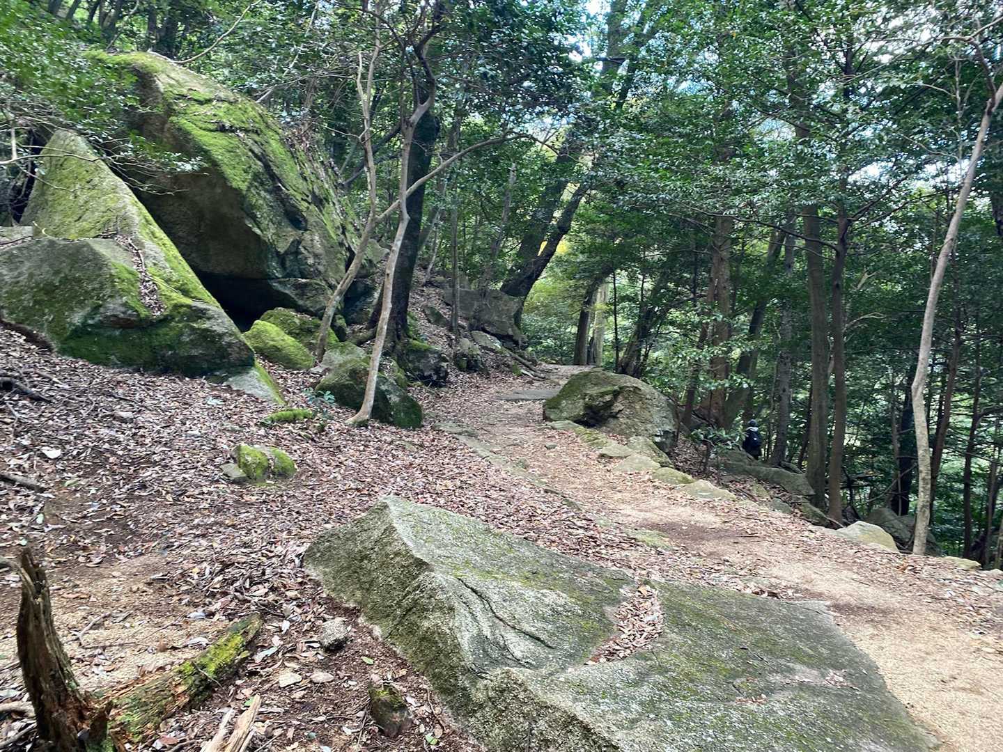 写真を撮り忘れましたが、下りのルートもほぼ石段でした。