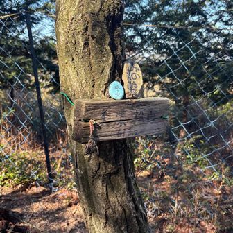 美濃松山
ご縁は宝　　緑🟢？