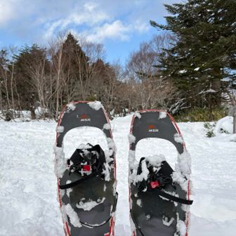 広場のベンチが見当たらなかったので適当に雪のベンチを作って遅いランチタイム🍴