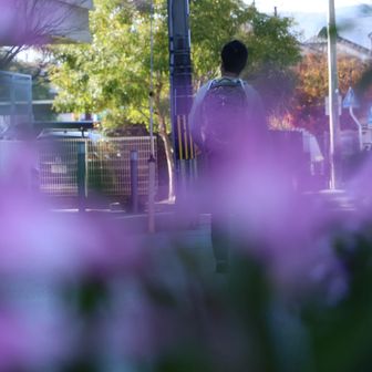 街角に綺麗な花壇あって✨
ピンクのお花が咲いていた🌸
