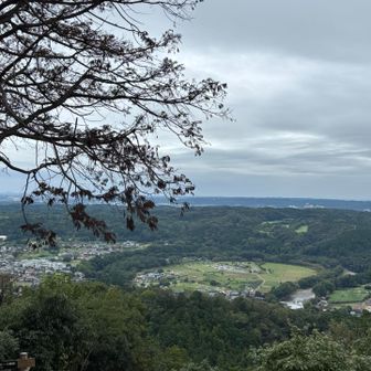 巾着田が見えた