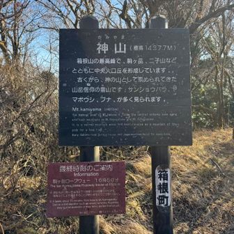 神山への登頂果たしましたので下ります