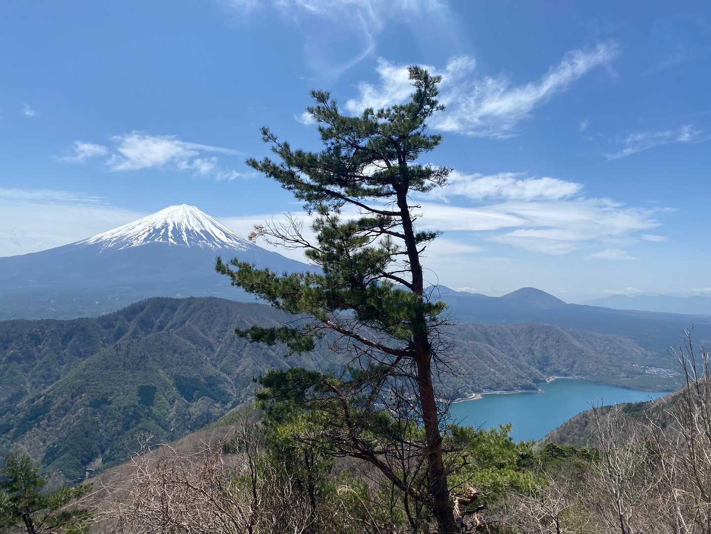 今日は富士山が綺麗に見えました！