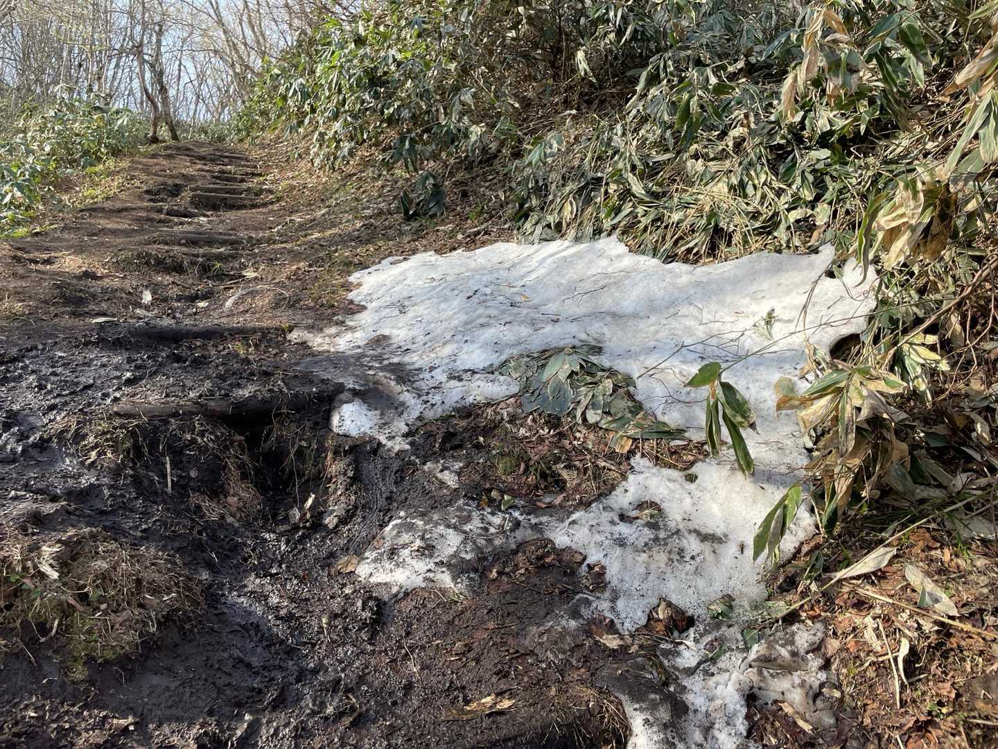 なんと雪が残ってた😳
なるほど、雪が溶けて水量が増えてたのか💡