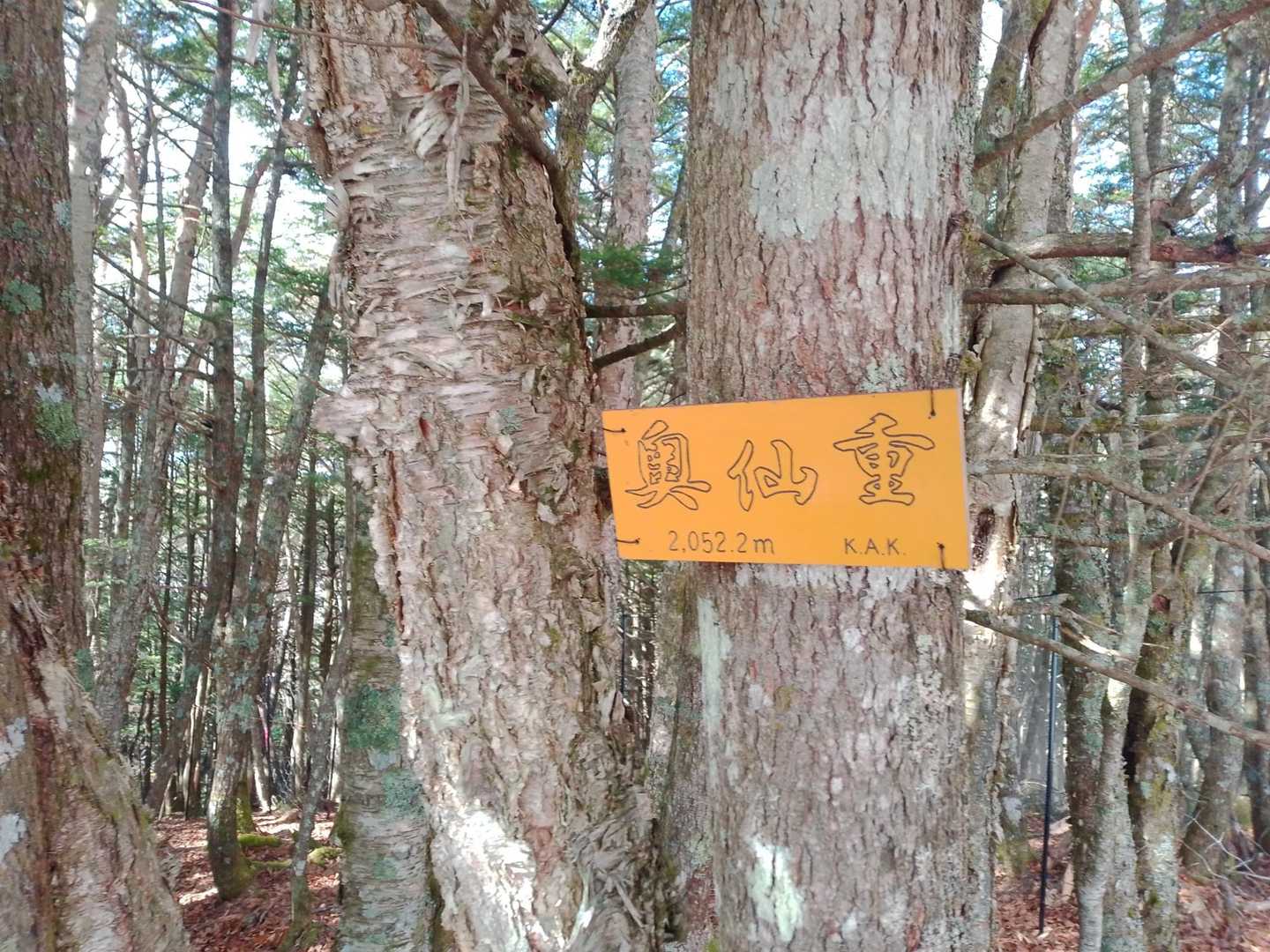 あった。ここも2000m超なんだな。