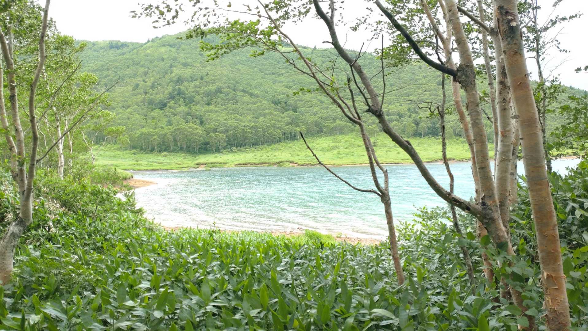 白い砂浜