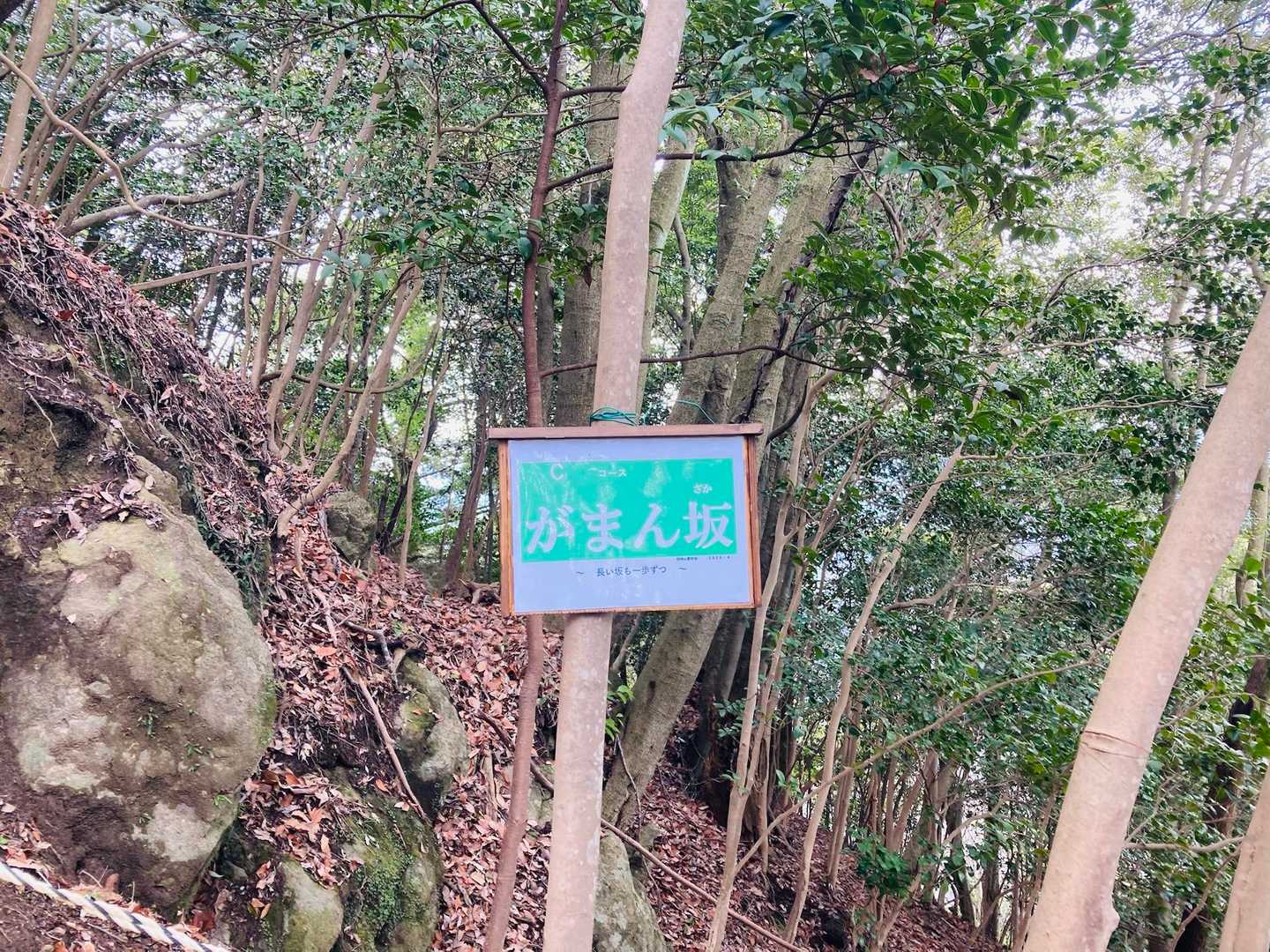 『がまん坂』とな🤔

そっかぁ✨
こんな名前つくってことはみんなココはしんどいと思うってことやね✨✨
ほんならしゃあない！
がんばろか💪
（単細胞🐤）