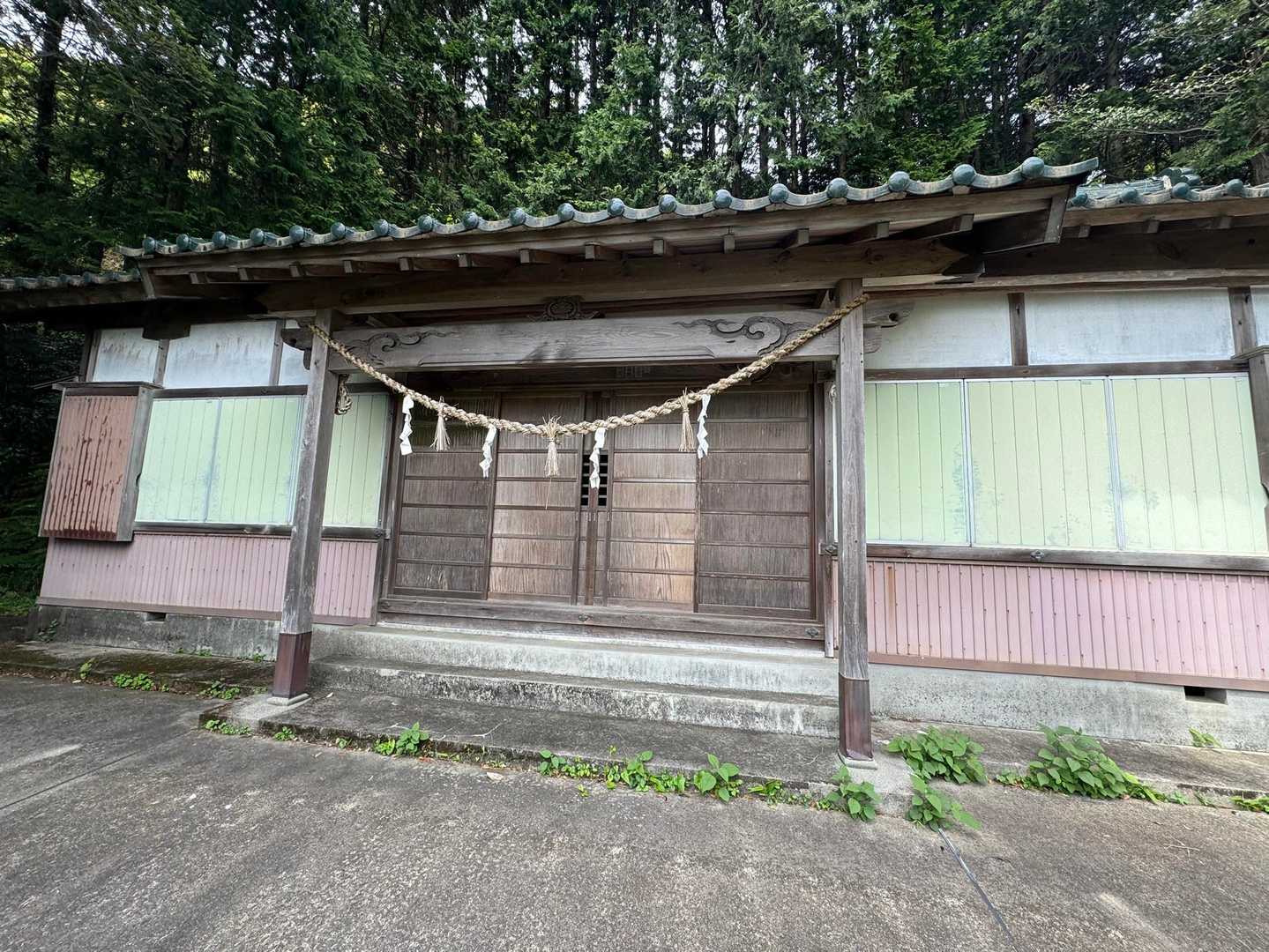 五井山 往復コースの写真