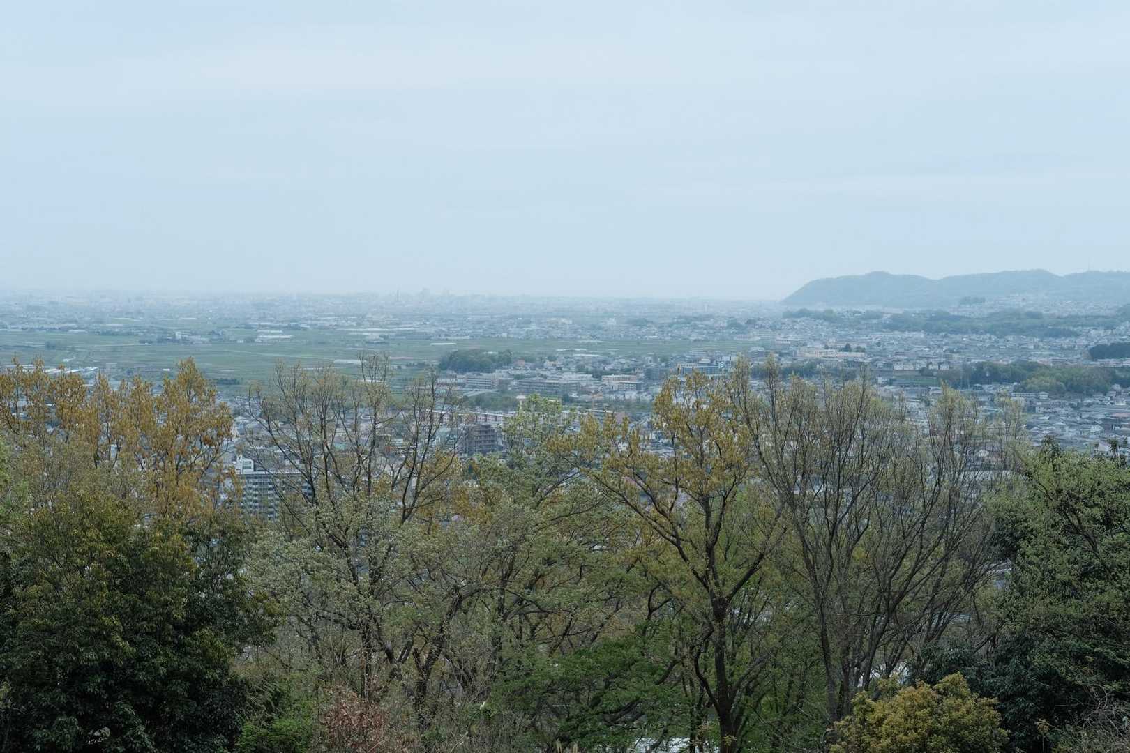 秦野駅-弘法山公園入口登山口-権現山-弘法山-善波峠-善波 縦走コースの写真
