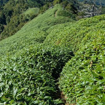 オマケ!?  槍戸山へ　向かいます
遠目にはステキなロード✨しかーし‥