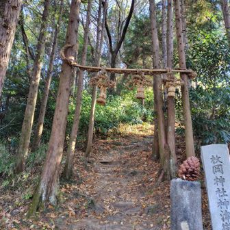 前は巻いた神津嶽にも登る、気持ちと脚に余裕があります😉