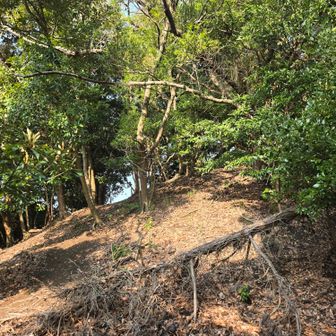 尾根沿いの山道って楽しい😊