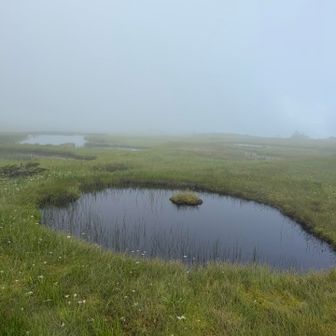 離島のある池塘