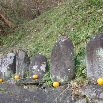 お供えにほっこり🍊
