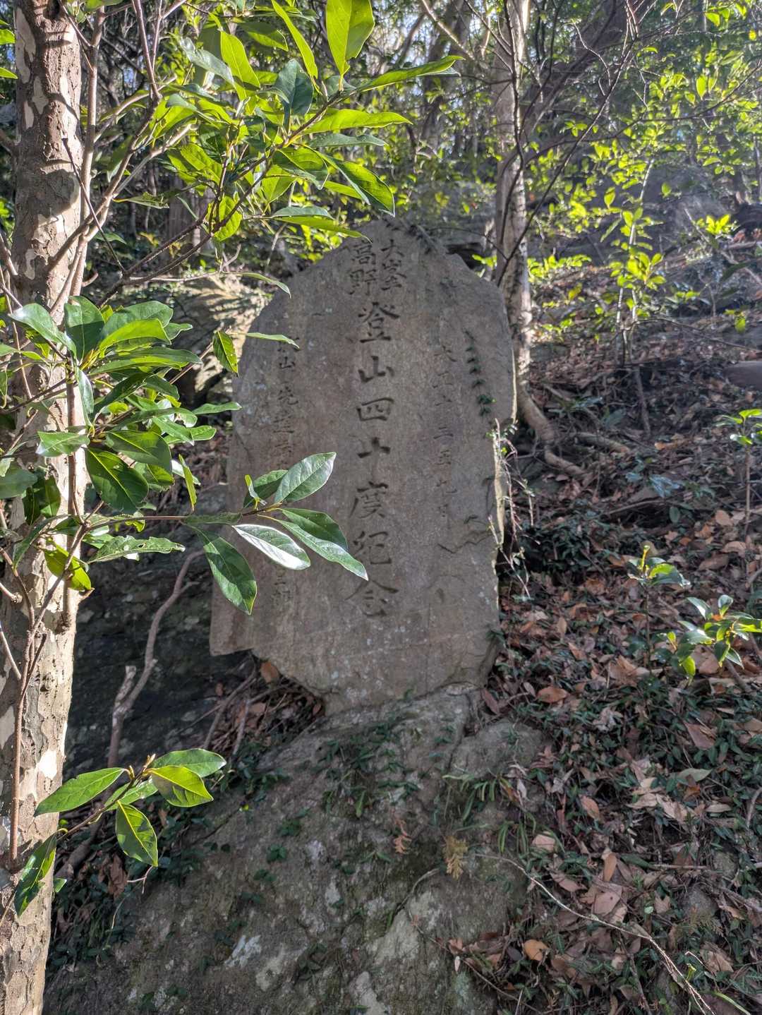 御堂山-砥神山 周回コースの写真