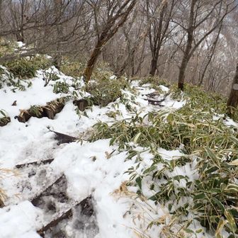 雪がとけていてどろどろ
