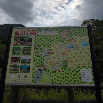 🍁🌸見に来よう