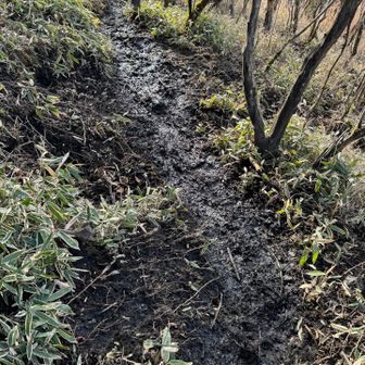 雪が溶けドロドロでめちゃくちゃ滑りました😂