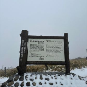 霧ヶ峰湿原には植物があるらしいにゃ。本当にゃ？