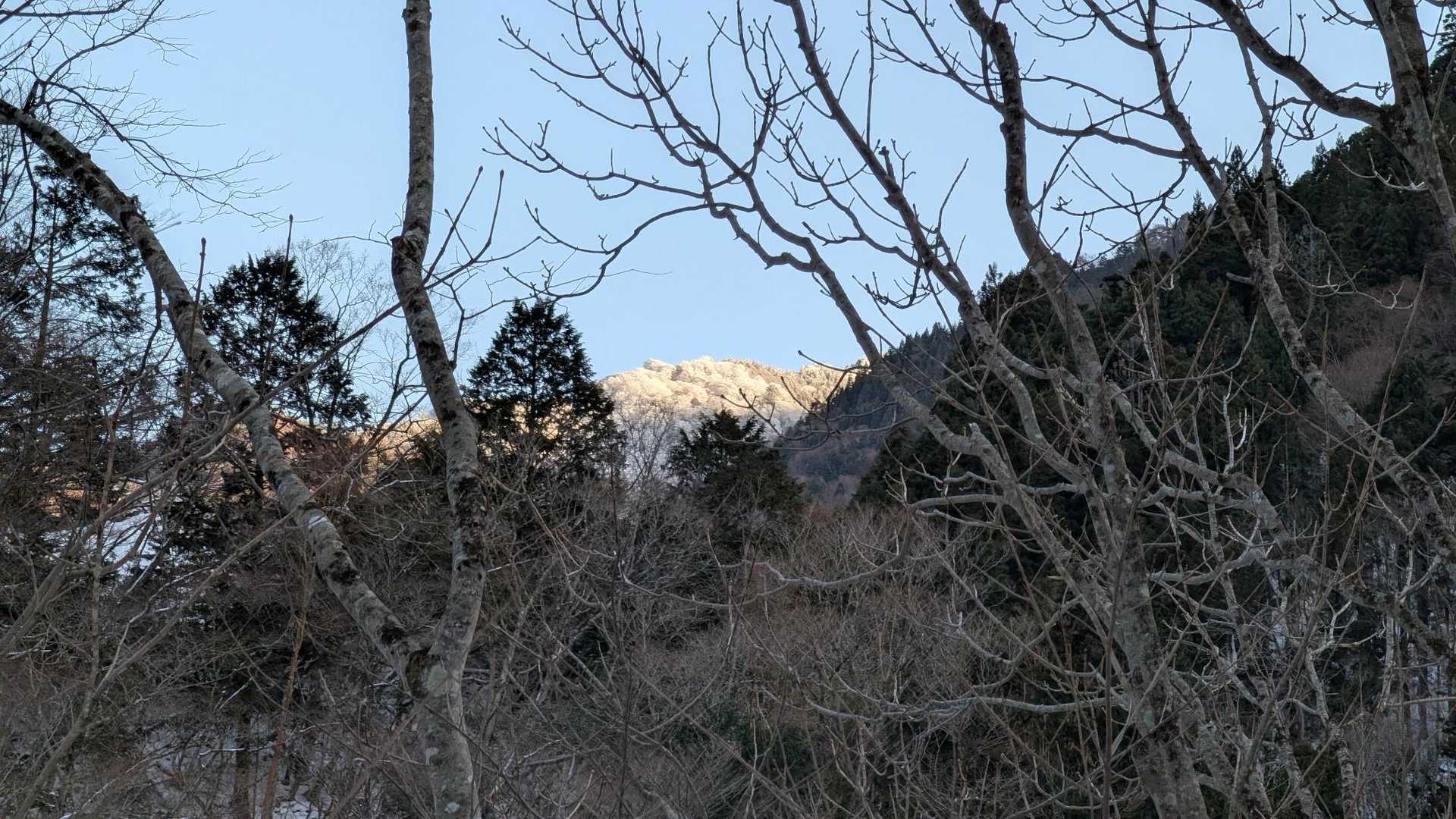 天女の頂 往復コースの写真