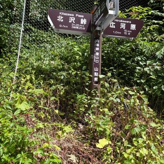 金網に穴が開いてるんで、それを通って出てくる。