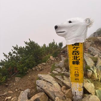masaさん✨️
お決まりの
シロクマ🐻‍❄️さん🥰