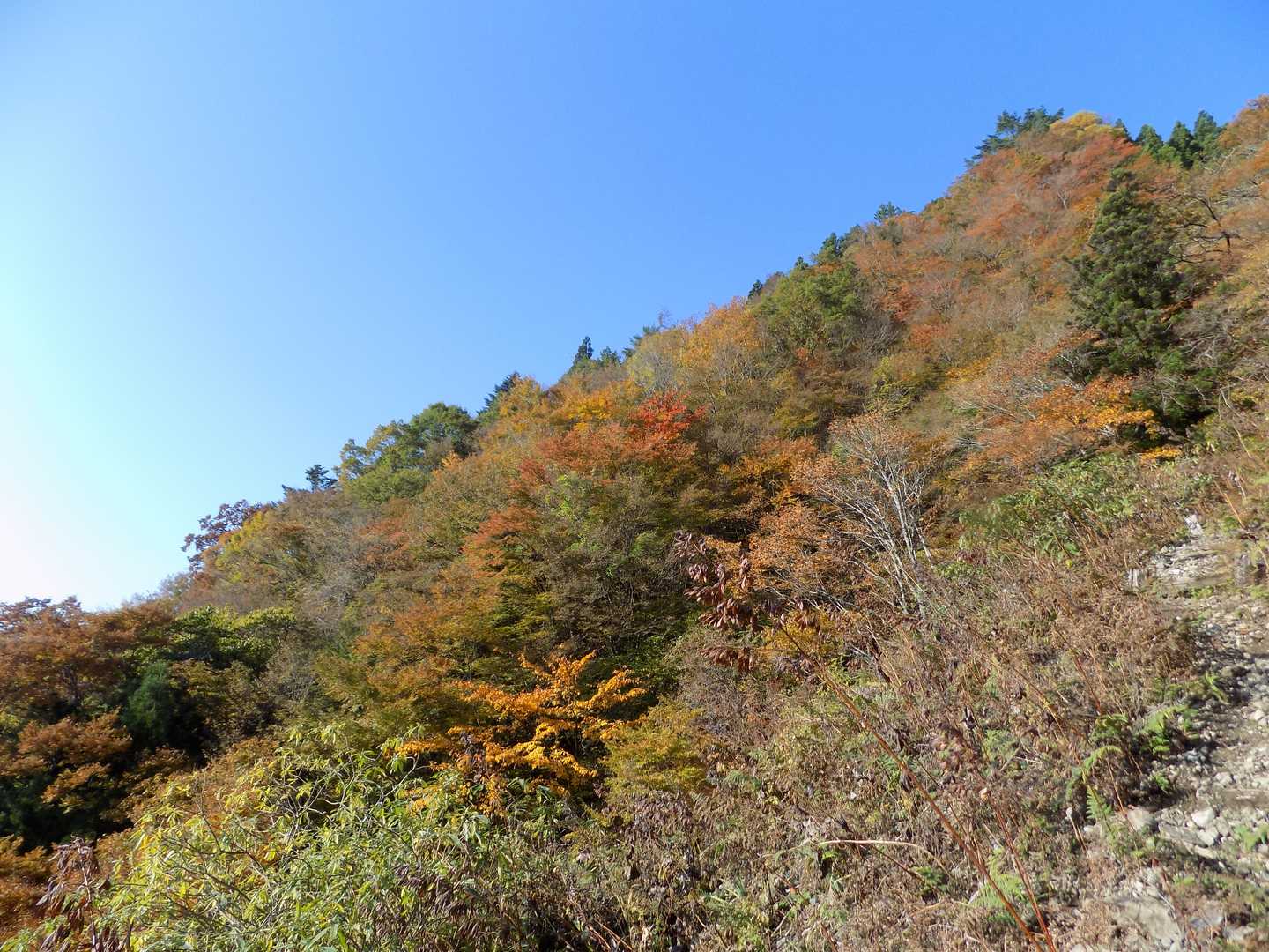 左の斜面の黄葉を見ながら