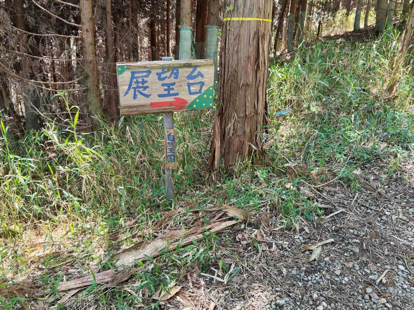 迷う事は有りません