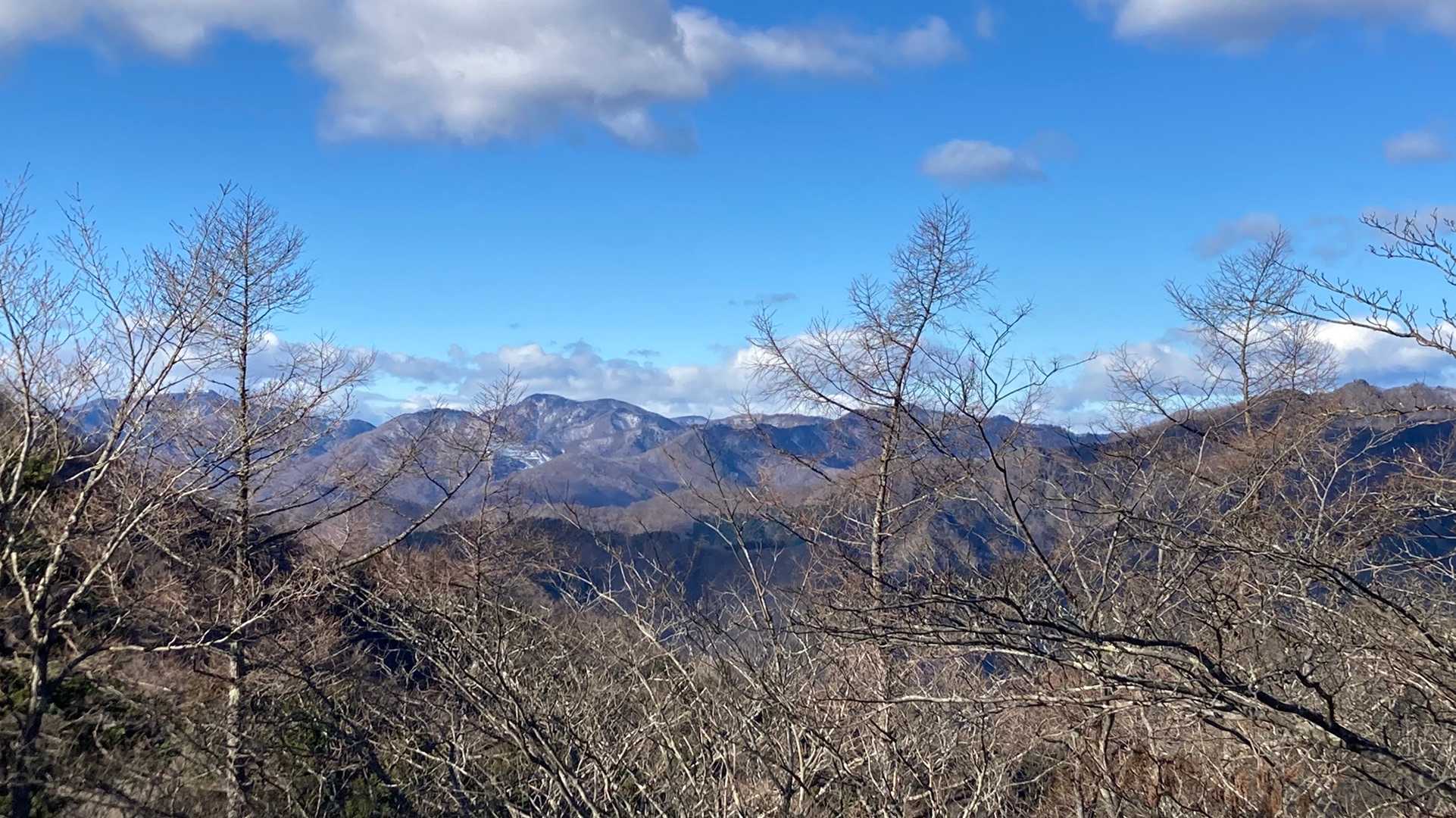 鳩ノ巣駅発着｜川苔山・鋸尾根周回コースの写真