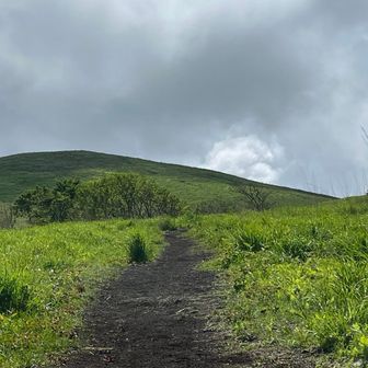 以前より道がきれいになってる❗️
すごく歩きやすいです♪
雲がばんばん流れてきます☁️☁️☁️