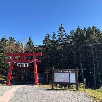 二荒山神社鳥居⛩️をくぐり
今日も元気に行ってきます♪
