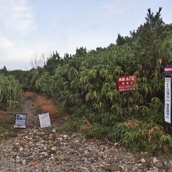 三段山は残念ながらレベル２では登れない（白銀荘からも×）。冬どこ登ったらいいの😢