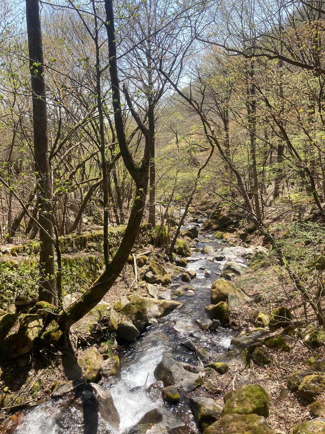 篭山 周回コースの写真