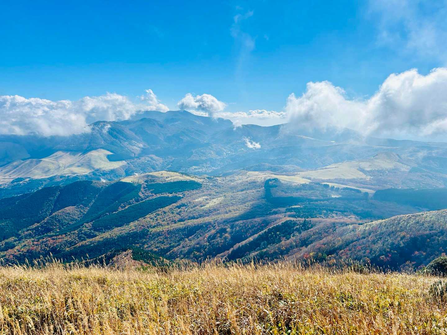 涌蓋山 往復コースの写真