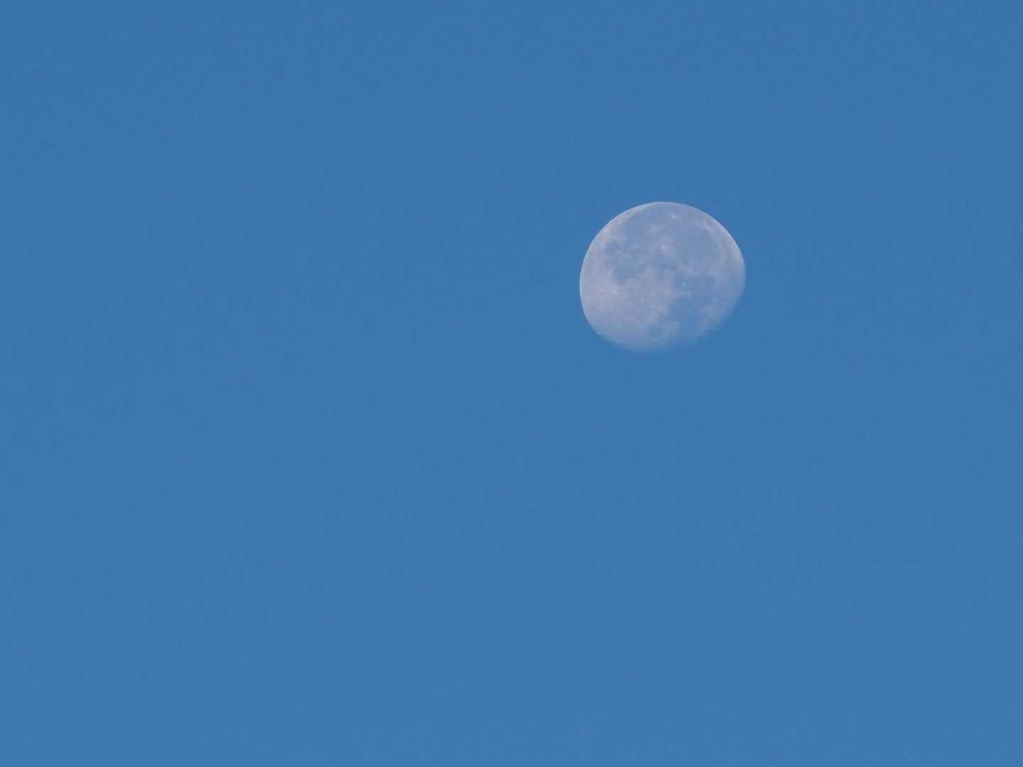 昨日の山歩も見届けてくれた月

今日も見えました🌝