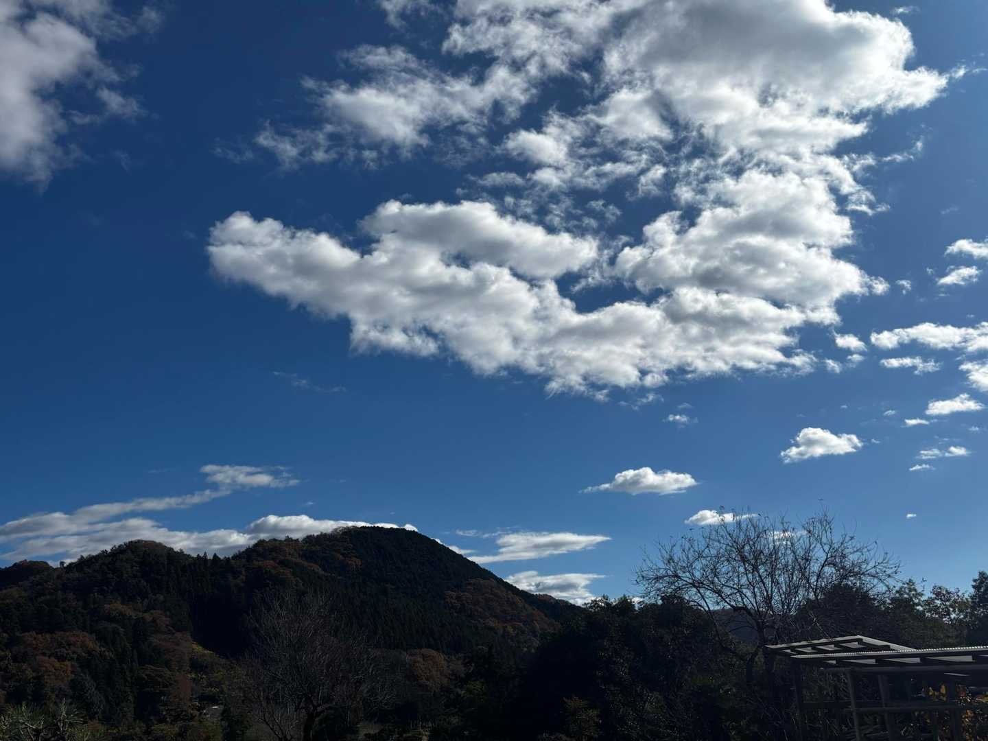 冬が始まるね