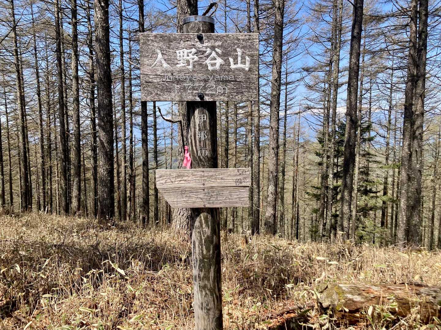 🚩入野谷山到着🙌
眺望はあまり良くないです💦