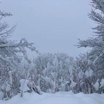 眺望も無し🙅‍♂️