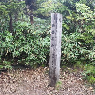 2回目の西吾妻山