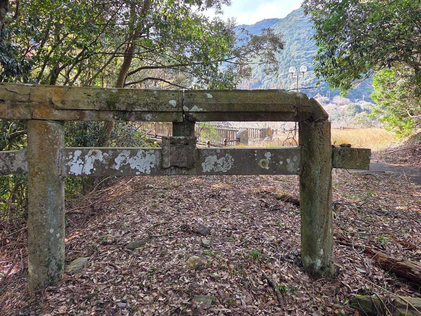 埋没鳥居⛩️