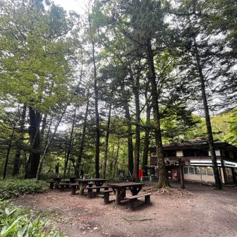 山崎デイリーと茶屋のようなお店があります