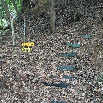 登山口へと降りて来た