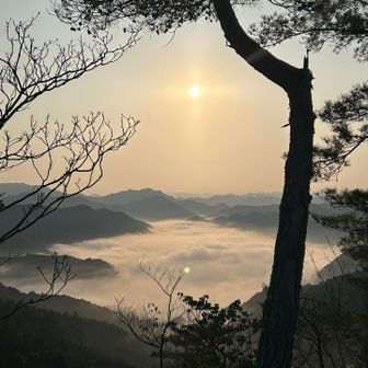 朝日に照らされて
眼下には雲海が広がってた