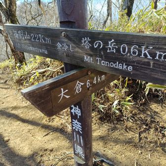 大倉封鎖！
迂回します