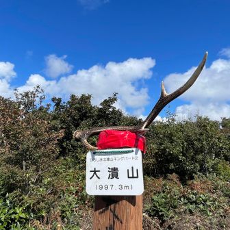 どうか、このままにしておいてくださいね（笑）