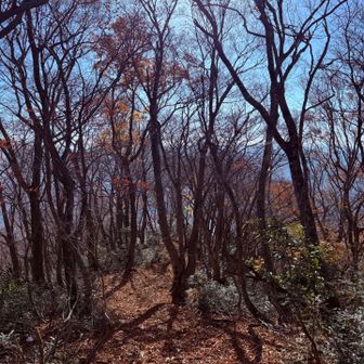 るんるんでランニング🏃‍➡️