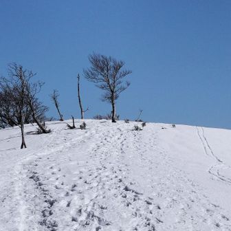 間もなく山頂です。