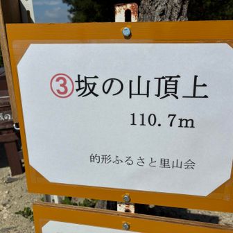 9ピーク目