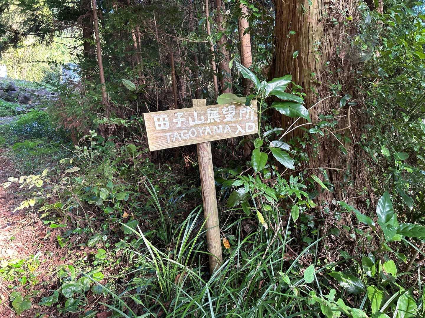 田子山 往復コースの写真