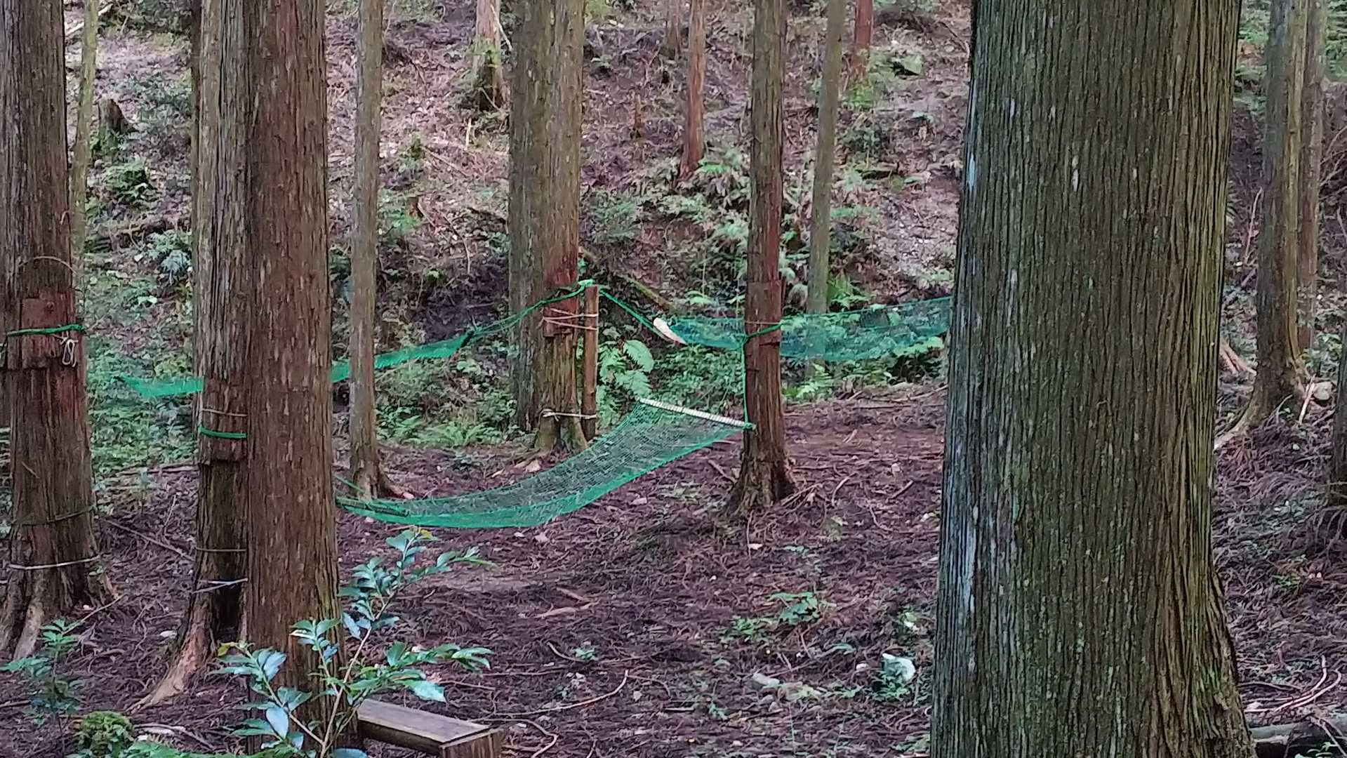 ん❓️
ハンモック(´・ω・`)?
森林浴を大プッシュしているらしい🌲